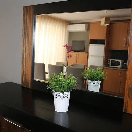 波尔图索拉尔一室公寓酒店 公寓